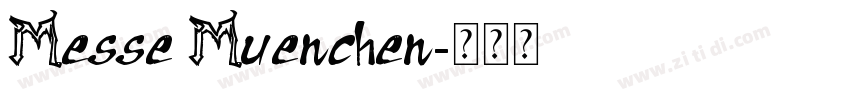 Messe Muenchen字体转换